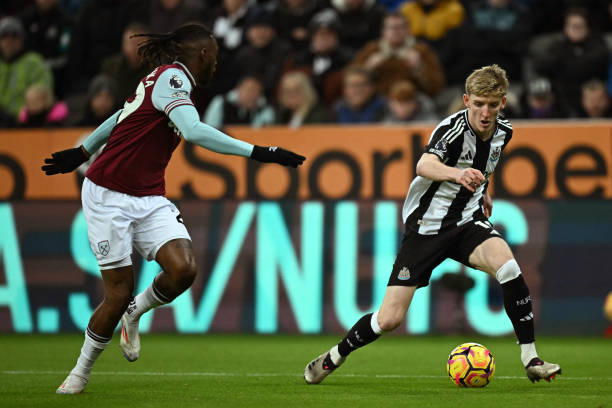 一向是球迷 一向是球迷