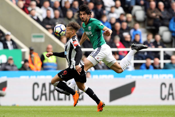 赛表现无疑 赛表现无疑