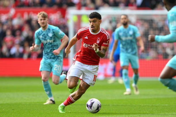 他还参与了 他还参与了